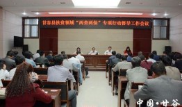 甘谷新闻爆料网站,揭秘本地热点事件背后的真相